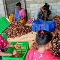 टस जितेर ब्याटिङ गर्दै कर्णाली