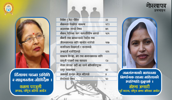 सडकमा रातो बत्ती बल्दा चोकचोकमा समस्या