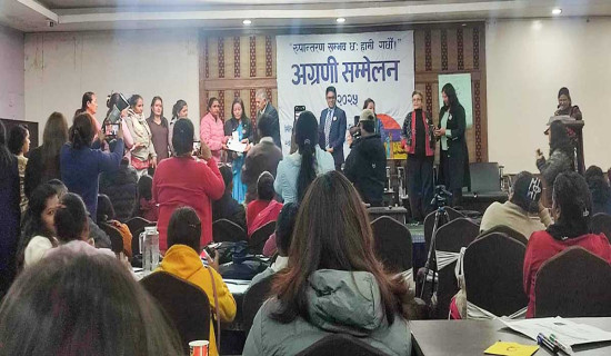 १२ बुँदे घोषणापत्र जारी गर्दै हिंसा प्रभावित अग्रणी महिलाको राष्ट्रिय सम्मेलन सम्पन्न