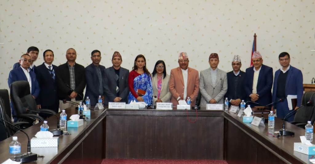 निर्वाचनमा अनुगमन गर्नेबारे आयोग र काउन्सिलबिच छलफल