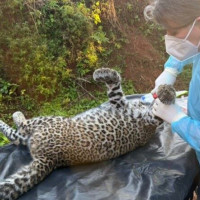 अर्थतन्त्रमा स्थिरताको खोजी