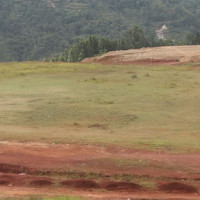 हराउँदै थारू समुदायको परम्परागत खानपान र जीवनशैली