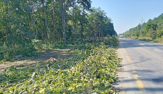 राजमार्ग विस्तार : साढे ११ हजार रुख कटान आदेश