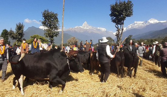 एड्स महामारी अन्त्य गर्ने कार्यमा एकजुट हुन स्वास्थ्यमन्त्री डा.गौतमको आह्वान