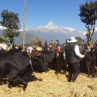 एड्स महामारी अन्त्य गर्ने कार्यमा एकजुट हुन स्वास्थ्यमन्त्री डा.गौतमको आह्वान
