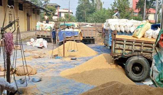 साढे सात हजार क्विन्टल धान खरिद