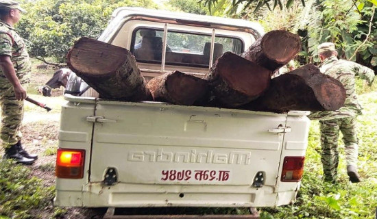 तस्करीको काठ र फर्निचर बरामद