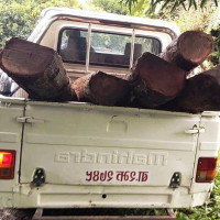 एनपिएलमा सुदूरपश्चिम रोयल्सको दबदबा