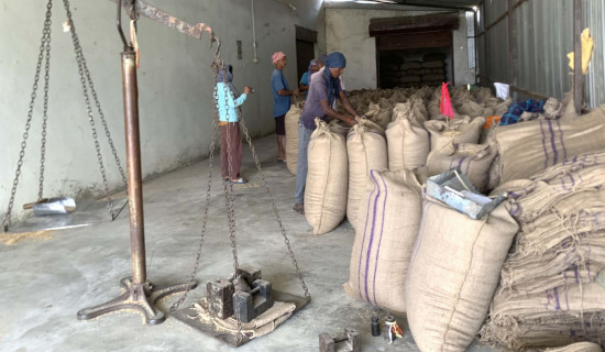 बाँसगढीमा खाद्यले सुरु गर्‍यो धान खरिद