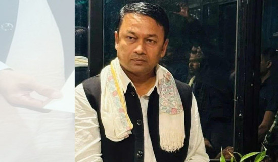 कमला नदीमा पुल निर्माणको माग गर्दै मुख्यमन्त्री सिंहलाई ज्ञापनपत्र