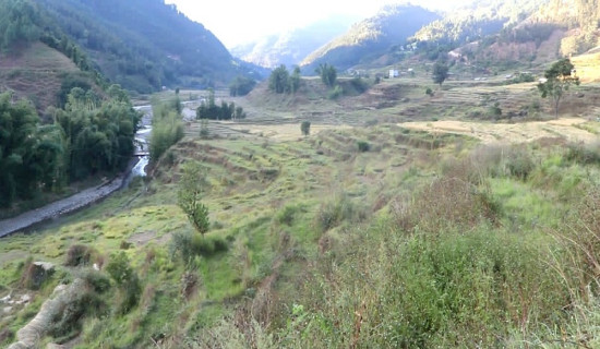गुल्मीको छत्रकोटले बाँझो जग्गा उपयोग गर्दै
