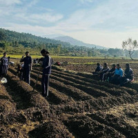 अर्थ सामाजिक विकासको शल्यक्रिया