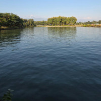 अतिरिक्त सचिव नरहने सहसचिवको खुला प्रवेशमा सहमति