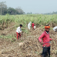 पाल्पाका स्थानीय तहलाई चार अर्ब आठ करोड बजेट