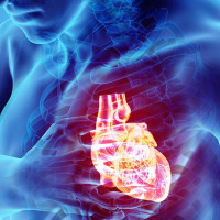 जबरजस्ती करणी मुद्दामा एक  प्रतिवादी पक्राउ