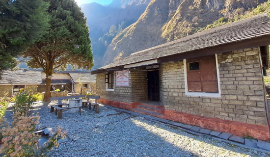 महाधिवेशनका लागि समय कम भयोः नेता कोइराला