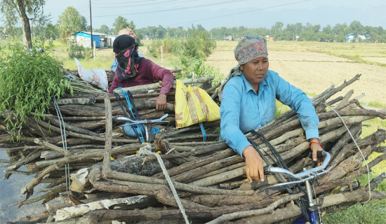 हङकङ आगलागी छानबिनमा ‘स्वतन्त्र समिति’ गठन