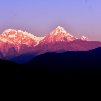 मधेस प्रदेशका मुख्यमन्त्री यादवले बुधबार विश्वासको मत लिने