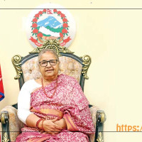 त्रिविका उपकुलपतिको सोचपत्र, प्रदेश विश्वविद्यालय खोल्ने योजना