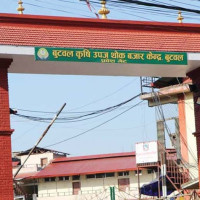 वाइडबडी खरिद मुद्दामा पुनरावेदन