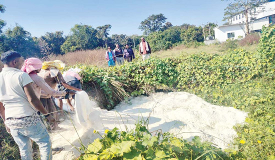 हुलास खाद्य उद्योगमा एकानब्बे बोरा म्याद नाघेको पिठो