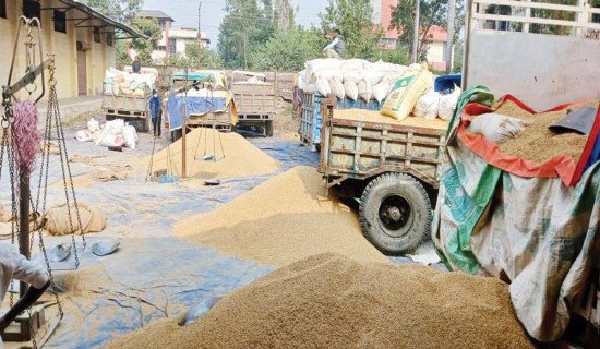 साढे सात हजार क्विन्टल धान खरिद