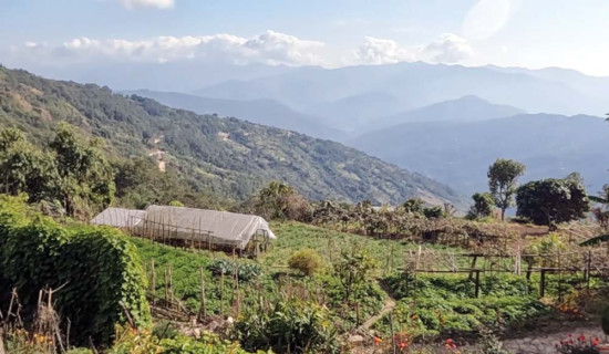 चुनावमा एमालेले बृहत्तर परिणाम ल्याउने दाबी