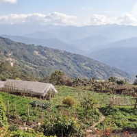 ई–रिक्सा व्यवस्थापन गरिँदै