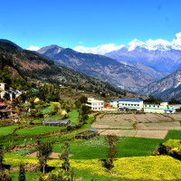 गहुँबारीमा चौलो छाला नृत्यसँगै ठाडो खेल