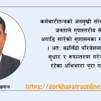 दाउन्नेको दलदल (फोटो फिचर)