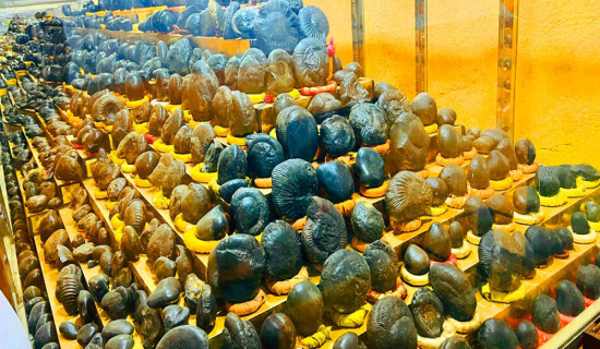 धार्मिक पर्यटकका लागि आकर्षक गन्तव्य बन्दै शालग्राम सङ्ग्रहालय