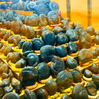 धार्मिक पर्यटकका लागि आकर्षक गन्तव्य बन्दै शालग्राम सङ्ग्रहालय