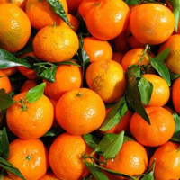 मल वितरणपछि किसानलाई राहत