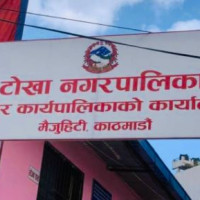 केरा खेतीमा ‘टिआर फोर’ को सङ्क्रमण