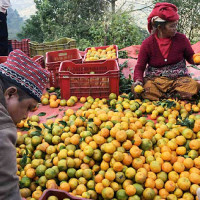 मटिहानीमा जीवित छ सेनकालीन संस्कृत पाठशाला