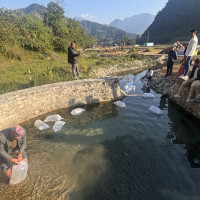 मटिहानीमा जीवित छ सेनकालीन संस्कृत पाठशाला