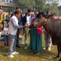 अन्तर्राष्ट्रिय अपाङ्गता दिवसमा कार्यक्रम