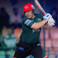 दमौली बजार र हिमशृङ्खला