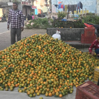 मोटरसाइकल दुर्घटनामा एकको मृत्यु, दुई घाइते