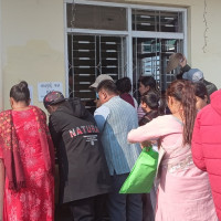 ताप्लेजुङमा सुन्तला उत्पादन बढ्यो