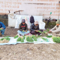 हिउँदे वर्षा नहुँदा सुख्खापन बढ्यो, तत्काल पानी पर्ने सम्भावना छैन