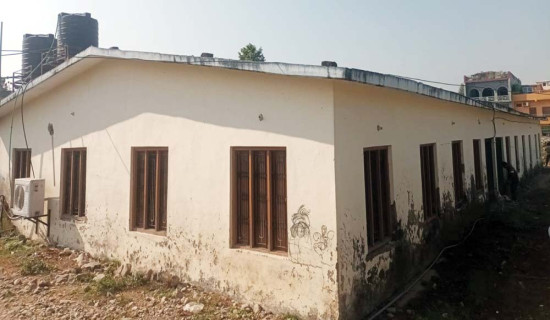 पलायनको सँघारमा बेगनासका डुङ्गा व्यवसायी