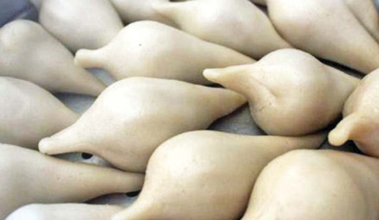 प्रभु म्यानेजमेन्टका पाँच जनालाई मुद्दा