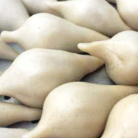 जापान जाने लोभमा बिल्लीबाठ