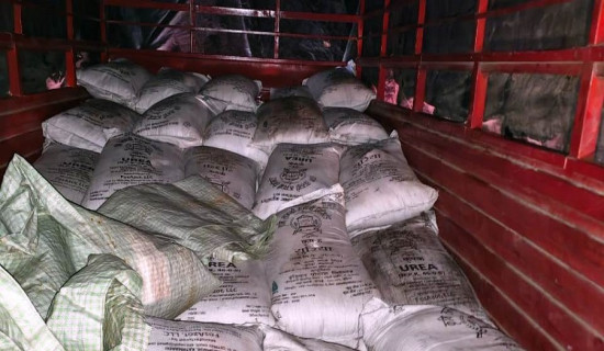 अपाङ्ग दिवसमा सांस्कृतिक कार्यक्रम