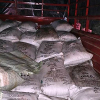 अवसरको देश अस्ट्रेलिया