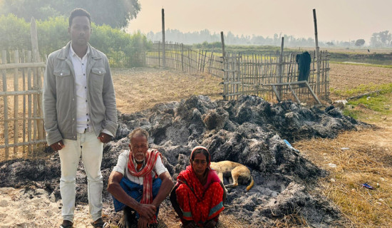 धानको कुन्यूसँगै जल्यो मुसहर परिवारको सपना