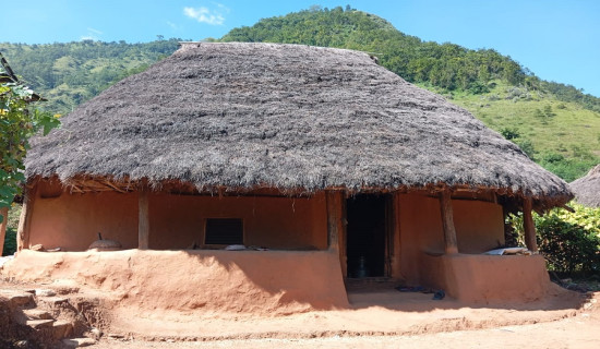 धानको कुन्यूसँगै जल्यो मुसहर परिवारको सपना