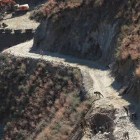 संखुवासभा अस्पताललाई अत्याधुनिक इन्क्युबेटर हस्तान्तरण