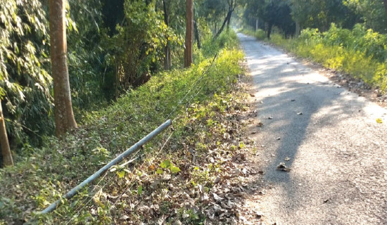 काम गर्न छोड्यो सोलार फेन्सिङले